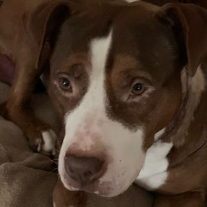 Meet your Posher, Wendy